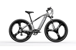 RICH BIT Vélos de montagne électriques TOP-520 E-Bike 29 Pouces vélo pour Hommes(Gris)