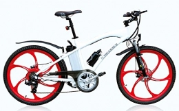 Ecomission Vélos de montagne électriques Vlo Mountain Bike lectrique