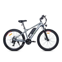 SachsenRad Vélos de montagne électriques Vélo électrique Saxsen R10 - Cadre Noir - Batterie au Lithium 36 V 8 Ah - Puissance : 250 W - 25 km / h - 21 Vitesses - Certifié StVo - Argent